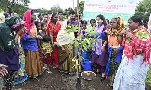 ಕಲಬುರಗಿ ಜಿಲ್ಲೆಯಾದ್ಯಂತ 4.43 ಲಕ್ಷ ಸಸಿ ನೆಡುವ ಯೋಜನೆ