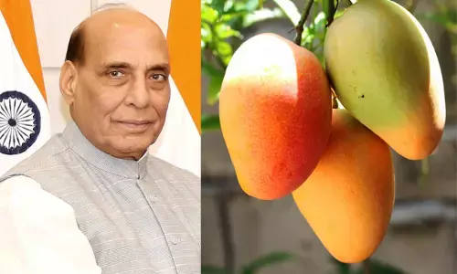 ‘ಮ್ಯಾಂಗೋ ಮ್ಯಾನ್’ ಖಲೀಮುಲ್ಲಾ ಬೆಳೆದ ಹೊಸ ಮಾವಿನ ತಳಿಗೆ ಸಚಿವ ರಾಜ್‌ ನಾಥ್ ಸಿಂಗ್ ಹೆಸರು