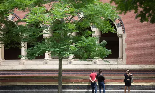 ಹಾರ್ವರ್ಡ್ ವಿವಿಯಲ್ಲಿ ಹೊಸ ವಿದೇಶೀ ವಿದ್ಯಾರ್ಥಿಗಳಿಗೆ ವೀಸಾ ನಿಷೇಧಕ್ಕೆ ಕೋರ್ಟ್ ನಿರ್ಬಂಧ