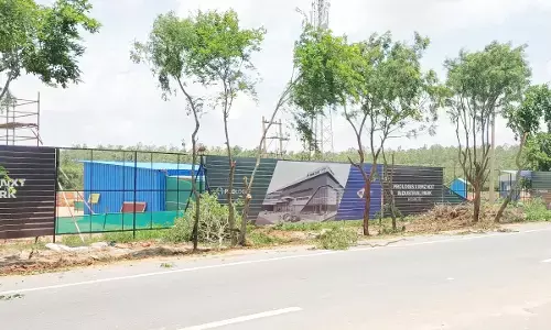 ಉದ್ಯಾನದ ಸೌಂದರ್ಯ ಹೆಚ್ಚಿಸಲು 20ಕ್ಕೂ ಹೆಚ್ಚು ಮರಗಳ ಕಡಿತ: ಪರಿಸರ ಪ್ರಿಯರ ಆಕ್ರೋಶ