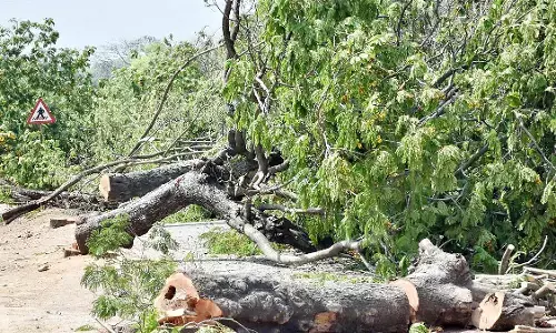 ಇಳೆಗೆ ಮಾರಕ ಶೋಷಕರ ಸ್ವಾರ್ಥ