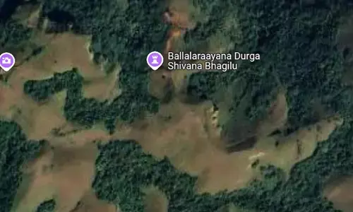 ಚಿಕ್ಕಮಗಳೂರು | ಬಲ್ಲಾಳರಾಯನ ದುರ್ಗಾದ ಕಾಡಿನಲ್ಲಿ ಸಿಲುಕಿರುವ 10 ಮಂದಿ ಚಾರಣಿಗರು