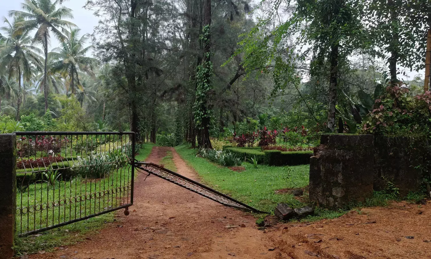 ಸೀತಾನದಿ ಬೆಳಾರ್ ಪ್ರದೇಶದಲ್ಲಿ ಆನೆ ಓಡಾಟ: ಸ್ಥಳೀಯರಲ್ಲಿ ಆತಂಕ