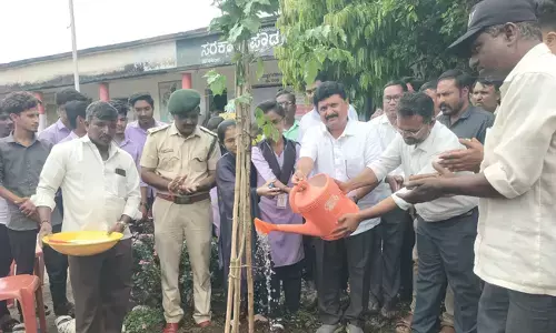 ಆಳಂದ | ಮಟಕಿ ಸರ್ಕಾರಿ ಪ್ರೌಢ ಶಾಲೆಯಲ್ಲಿ ವಿಶ್ವ ಪರಿಸರ ದಿನಾಚರಣೆ