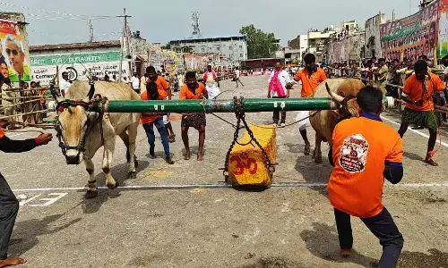 ರಾಯಚೂರು ಹಬ್ಬದ ಬೆಳ್ಳೆ ಮಹೋತ್ಸವ: ಎತ್ತುಗಳಿಂದ ಭಾರವಾದ ಕಲ್ಲು ಎಳೆಯುವ ಸ್ಪರ್ಧೆಗೆ ಚಾಲನೆ
