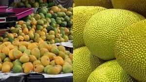 ಉಡುಪಿ: ಗೀತಾಮಂದಿರದಲ್ಲಿ ಜೂ.13ರಿಂದ ಹಲಸು, ಮಾವು ಮೇಳ ಉಡುಪಿ: ಗೀತಾಮಂದಿರದಲ್ಲಿ ಜೂ.13ರಿಂದ ಹಲಸು, ಮಾವು ಮೇಳ