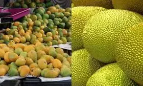 ಉಡುಪಿ: ಗೀತಾಮಂದಿರದಲ್ಲಿ ಜೂ.13ರಿಂದ ಹಲಸು, ಮಾವು ಮೇಳ