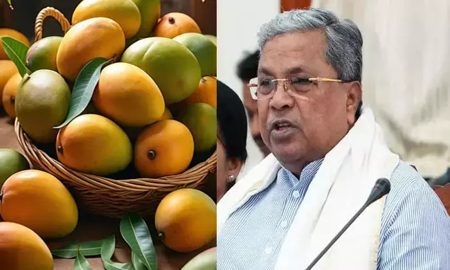 ‘ಮಾವು ಬೆಳೆಗಾರರ ನೆರವಿಗೆ ಧಾವಿಸಿ’: ಕೇಂದ್ರ ಕೃಷಿ ಸಚಿವರಿಗೆ ಮುಖ್ಯಮಂತ್ರಿ ಸಿದ್ದರಾಮಯ್ಯ ಮನವಿ
