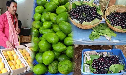 ಪಿಲಿಕುಳದಲ್ಲಿ ಹಣ್ಣುಗಳ ಮೇಳ 2025ಕ್ಕೆ ಚಾಲನೆ