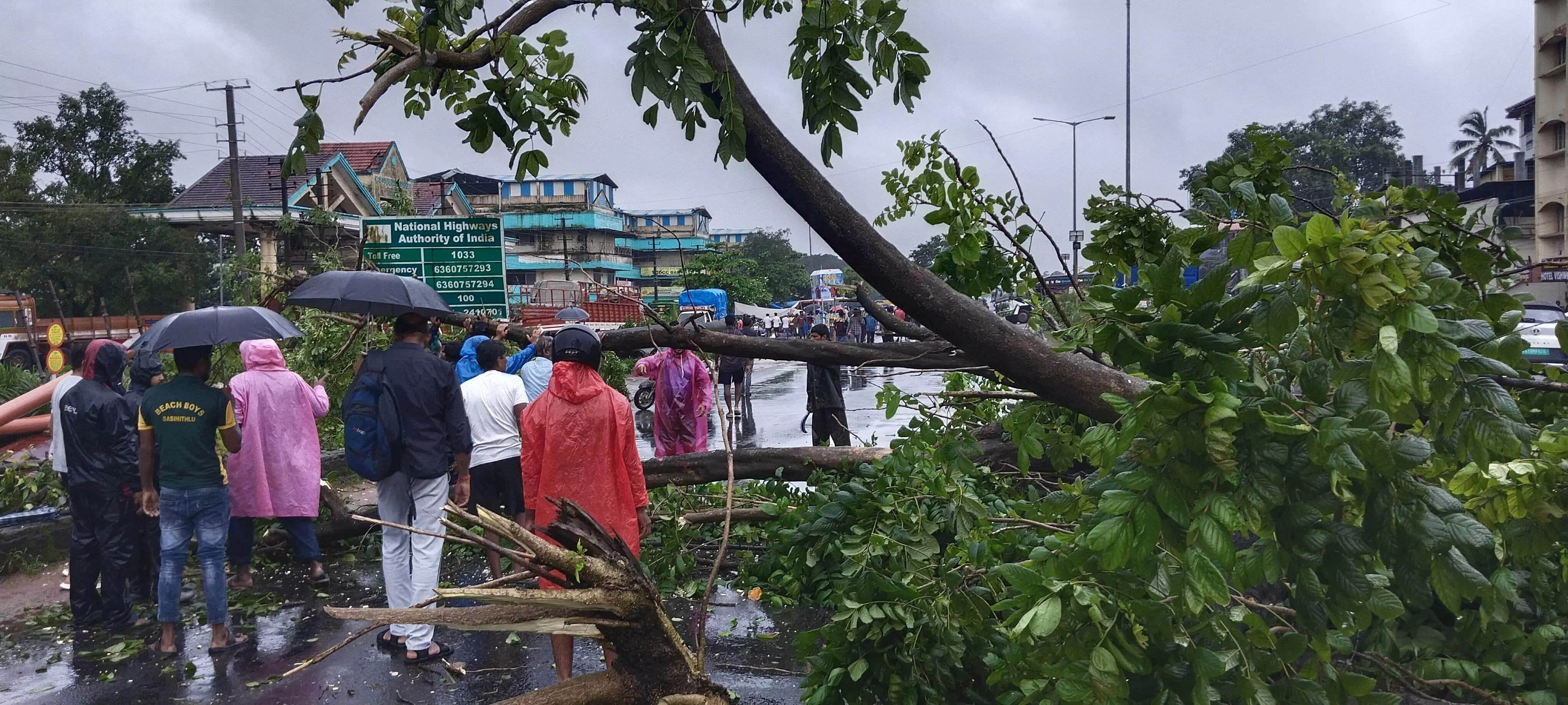ಬೈಕಂಪಾಡಿಯಲ್ಲಿ ರಸ್ತೆಗೆ ಉರುಳಿದ ಮರ; ತಪ್ಪಿದ ಅನಾಹುತ ಬೈಕಂಪಾಡಿಯಲ್ಲಿ ರಸ್ತೆಗೆ ಉರುಳಿದ ಮರ; ತಪ್ಪಿದ ಅನಾಹುತ