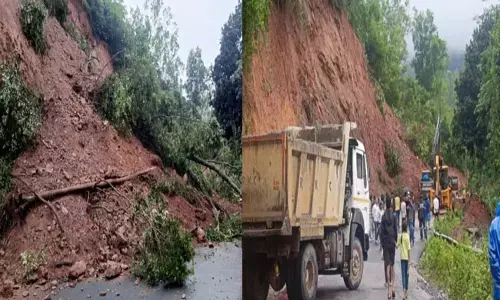 ಚಿಕ್ಕಮಗಳೂರಿನಲ್ಲಿ ಭಾರೀ ಮಳೆ | ಹಲವೆಡೆ ಮರಗಳು-ವಿದ್ಯುತ್ ಕಂಬಗಳು ಧರಾಶಾಹಿ