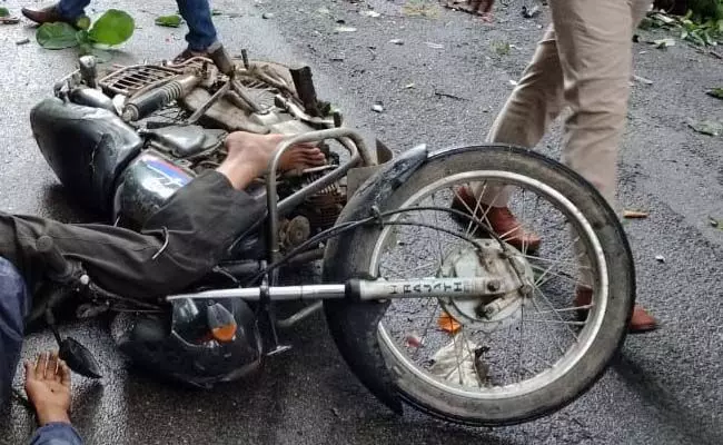 ಬಾಳೆಹೊನ್ನೂರು: ಚಲಿಸುತ್ತಿದ್ದ ಬೈಕ್ ಮೇಲೆ ಬಿದ್ದ ಮರದ ಕೊಂಬೆ; ಸವಾರ ಮೃತ್ಯು
