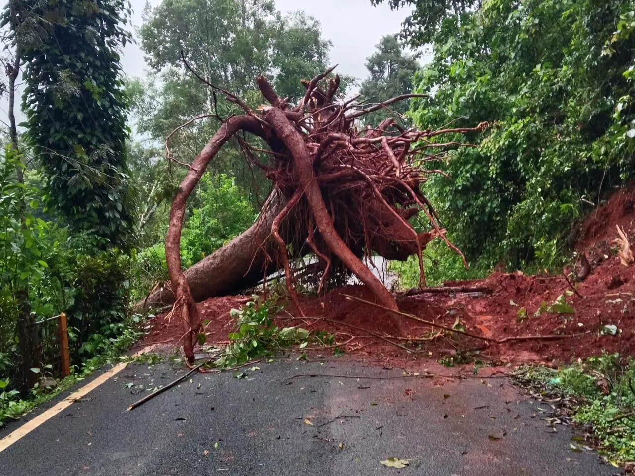 ಚಿಕ್ಕಮಗಳೂರು: ಮಲೆನಾಡು ಭಾಗದಲ್ಲಿ ಮುಂದುವರಿದ ಮಳೆ ಆರ್ಭಟ