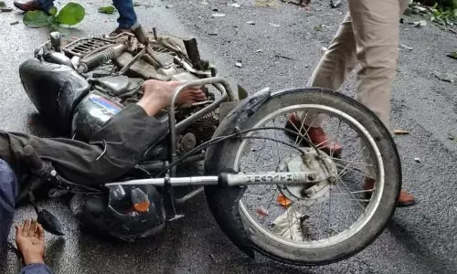 ಬಾಳೆಹೊನ್ನೂರು: ಚಲಿಸುತ್ತಿದ್ದ ಬೈಕ್ ಮೇಲೆ ಬಿದ್ದ ಮರದ ಕೊಂಬೆ; ಸವಾರ ಮೃತ್ಯು