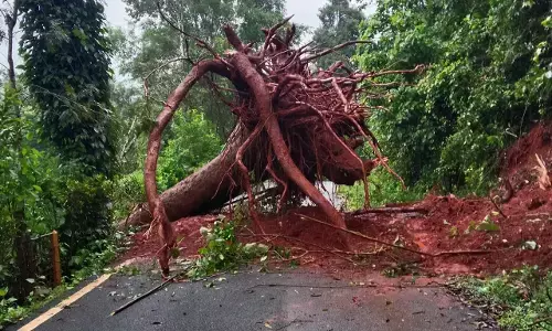 ಚಿಕ್ಕಮಗಳೂರು: ಮಲೆನಾಡು ಭಾಗದಲ್ಲಿ ಮುಂದುವರಿದ ಮಳೆ ಆರ್ಭಟ