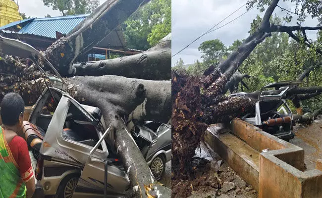 ಚಿಕ್ಕಮಗಳೂರು ಜಿಲ್ಲೆಯಲ್ಲಿ ನಿಲ್ಲದ ಮುಂಗಾರು ಮಳೆ ಆರ್ಭಟ: ನದಿಗಳಲ್ಲಿ ಹೆಚ್ಚಿದ ನೀರಿನ ಹರಿವು