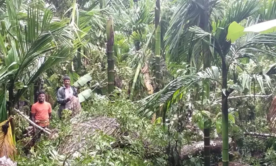 ಉಡುಪಿ| ಮಳೆಯ ಕಣ್ಣುಮುಚ್ಚಾಲೆಯಾಟ; ಹೆಚ್ಚುತ್ತಿರುವ ನಷ್ಟದ ಪ್ರಮಾಣ
