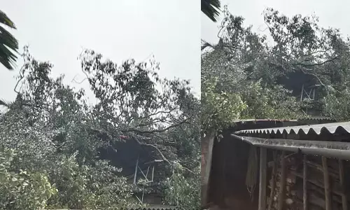 ಪುತ್ತೂರು: ಮನೆ ಮೇಲೆ ಬಿದ್ದ ಬೃಹದಾಕಾರದ ಮರ; ಅಪಾರ ನಷ್ಟ