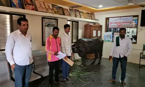 ಬೆಳಗಾವಿ | ದನದ ಶೆಡ್​ಗೆ ಮಂಜೂರಾಗದ ಹಣ; ಪಂಚಾಯತ್ ಕಚೇರಿಯೊಳಗೆ ಎಮ್ಮೆ ಕಟ್ಟಿದ ರೈತ!