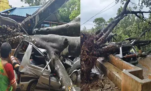 ಚಿಕ್ಕಮಗಳೂರು ಜಿಲ್ಲೆಯಲ್ಲಿ ನಿಲ್ಲದ ಮುಂಗಾರು ಮಳೆ ಆರ್ಭಟ: ನದಿಗಳಲ್ಲಿ ಹೆಚ್ಚಿದ ನೀರಿನ ಹರಿವು