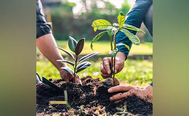 ಅಭಿಯಾನಗಳು ಭಾರತದ ಪರಿಸರವನ್ನು ಉಳಿಸುವಲ್ಲಿ ಯಶಸ್ವಿಯಾಗಬೇಕಲ್ಲವೇ?