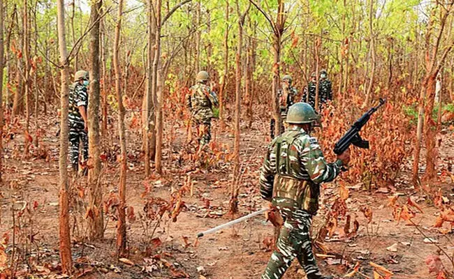 ಆಂಧ್ರಪ್ರದೇಶ: ಮೂವರು ಮಾವೋವಾದಿಗಳ ಹತ್ಯೆ