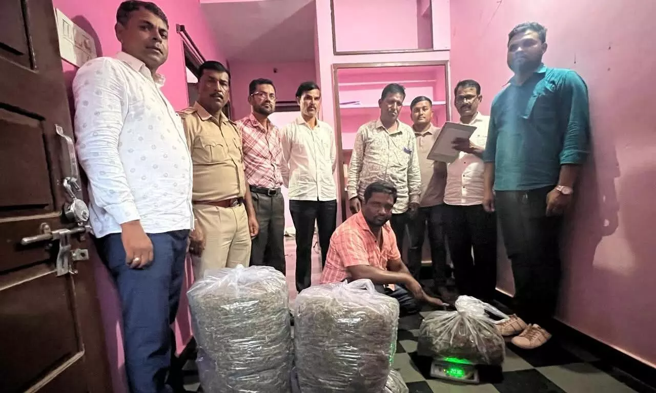 ಬೀದರ್: ರೂ. 38 ಲಕ್ಷಕ್ಕೂ ಅಧಿಕ ಮೌಲ್ಯದ ಗಾಂಜಾ ವಶ; ಗಾಂಧಿಗಂಜ್ ಪೊಲೀಸರ ಕಾರ್ಯಾಚರಣೆ