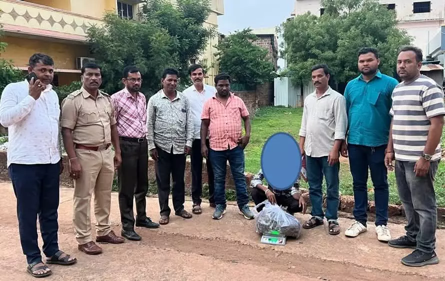 ಬೀದರ್| ಎರಡು ಲಕ್ಷಕ್ಕೂ ಅಧಿಕ ಮೌಲ್ಯದ ಗಾಂಜಾ ವಶ; ಆರೋಪಿಯ ಬಂಧನ