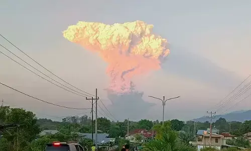 ವಿಮಾನ ನಿಲ್ದಾಣದ ಬಳಿ ಜ್ವಾಲಾಮುಖಿ ಸ್ಫೋಟ: ಬಾಲಿಗೆ ತೆರಳುತ್ತಿದ್ದ ಏರ್ ಇಂಡಿಯಾ ವಿಮಾನ ದಿಲ್ಲಿಗೆ ವಾಪಸ್