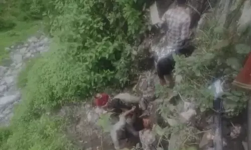 ಕೇದಾರನಾಥ: ಭೂಕುಸಿತ; ಇಬ್ಬರು ಮೃತ್ಯು