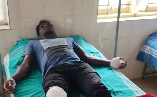 ಮೂಡಿಗೆರೆ : ಚಲಿಸುತ್ತಿದ್ದ ಬೈಕ್ ಮೇಲೆ ಕಾಡು ಕೋಣ ದಾಳಿ; ಸವಾರನಿಗೆ ಗಾಯ