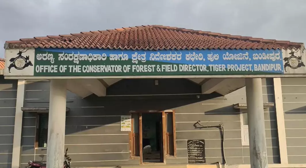 ಚಾಮರಾಜನಗರ | ಹುಲಿ ದಾಳಿಗೆ ಕುರಿಗಾಹಿ ಮಹಿಳೆ ಬಲಿ