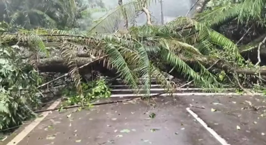 ಉಡುಪಿ ಜಿಲ್ಲೆಯಲ್ಲಿ 6 ಮನೆಗಳಿಗೆ ಹಾನಿ; 1.5 ಲಕ್ಷ ರೂ. ನಷ್ಟ ಉಡುಪಿ ಜಿಲ್ಲೆಯಲ್ಲಿ 6 ಮನೆಗಳಿಗೆ ಹಾನಿ; 1.5 ಲಕ್ಷ ರೂ. ನಷ್ಟ