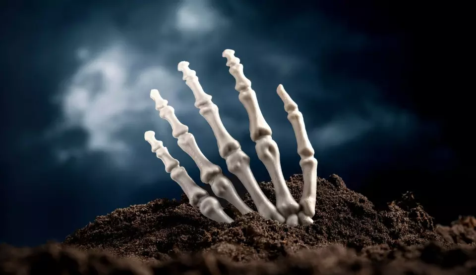 ಬೆಂಗಳೂರು | ಶೌಚಗುಂಡಿ ಸ್ವಚ್ಚಗೊಳಿಸುವ ವೇಳೆ ಅಸ್ಥಿಪಂಜರ ಪತ್ತೆ!