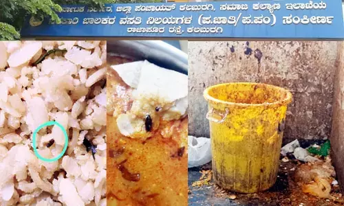 ಕಲಬುರಗಿ: ಹಾಸ್ಟೆಲ್ ಆಹಾರದಲ್ಲಿ ನಿತ್ಯವೂ ಹುಳ, ಜಿರಳೆ, ಗುಟ್ಕಾ ಪತ್ತೆ