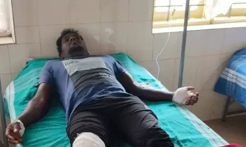 ಮೂಡಿಗೆರೆ : ಚಲಿಸುತ್ತಿದ್ದ ಬೈಕ್ ಮೇಲೆ ಕಾಡು ಕೋಣ ದಾಳಿ; ಸವಾರನಿಗೆ ಗಾಯ