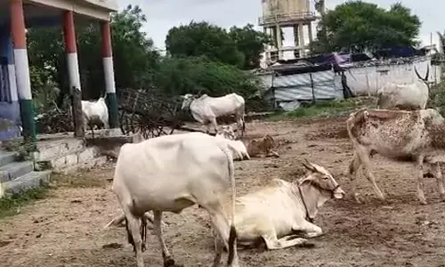 ಅನೈರ್ಮಲ್ಯದಿಂದ ಕೂಡಿದ ಯಾದಗಿರಿಯ ಪರಸಪುರ ಸರಕಾರಿ ಶಾಲೆ ಆವರಣ