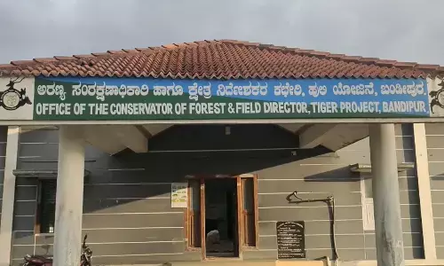 ಚಾಮರಾಜನಗರ | ಹುಲಿ ದಾಳಿಗೆ ಕುರಿಗಾಹಿ ಮಹಿಳೆ ಬಲಿ