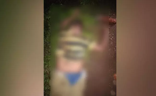 ಶಿವಮೊಗ್ಗ: ಆನೆ ತುಳಿತದಿಂದ ವ್ಯಕ್ತಿ ಮೃತ್ಯು