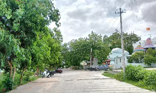 ಈರಣ್ಣ ಕೋಸಗಿಯಿಂದ ಹಸಿರು ರಾಯಚೂರು ಅಭಿಯಾನ