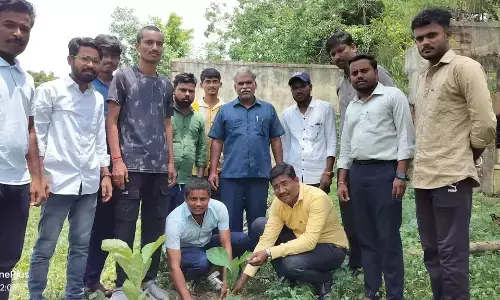 ಕಲಬುರಗಿ | ಯೋಗ ದಿನಾಚರಣೆ ನಿಮಿತ್ತ ಸಸಿ ನೆಡುವ ಕಾರ್ಯಕ್ರಮ