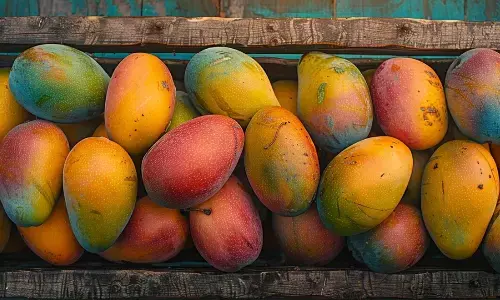 ಮಾವು ಬೆಳೆಗಾರರಿಗೆ ನೆರವು: ರಾಜ್ಯ ಸರಕಾರದ ಮನವಿಗೆ ಕೇಂದ್ರ ಸಮ್ಮತಿ