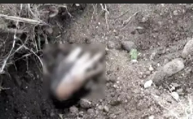 ಕೊಳ್ಳೇಗಾಲ | ಹೂತಿಟ್ಟ ಮೃತದೇಹದ ಮುಂಗೈ ಹೊರಬಂದ ಪ್ರಕರಣ : ಮೃತ ಮಹಿಳೆಯ ಗುರುತು ಪತ್ತೆ ಕೊಳ್ಳೇಗಾಲ | ಹೂತಿಟ್ಟ ಮೃತದೇಹದ ಮುಂಗೈ ಹೊರಬಂದ ಪ್ರಕರಣ : ಮೃತ ಮಹಿಳೆಯ ಗುರುತು ಪತ್ತೆ