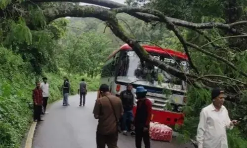 ಕೊಡಗಿನಲ್ಲಿ ಗಾಳಿ ಸಹಿತ ಮಳೆ: ವಿವಿಧೆಡೆ ಹಾನಿ