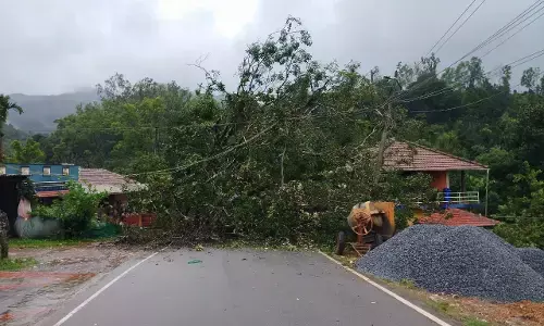 ಚಿಕ್ಕಮಗಳೂರು | ಮಲೆನಾಡು ಭಾಗದಲ್ಲಿ ಧಾರಾಕಾರ ಮಳೆ; ಜನಜೀವನ ಅಸ್ತವ್ಯಸ್ತ