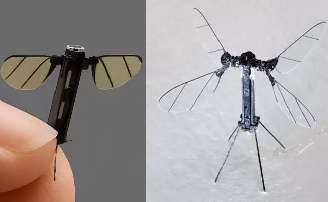 ಸೊಳ್ಳೆಯ ಗಾತ್ರದ ಡ್ರೋನ್ ತಯಾರಿಸಿದ ಚೀನಾ: ಬೇಹುಗಾರಿಕೆ, ಹ್ಯಾಕಿಂಗ್ ಭೀತಿ!