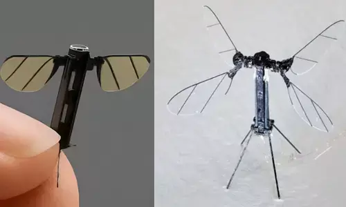 ಸೊಳ್ಳೆಯ ಗಾತ್ರದ ಡ್ರೋನ್ ತಯಾರಿಸಿದ ಚೀನಾ: ಬೇಹುಗಾರಿಕೆ, ಹ್ಯಾಕಿಂಗ್ ಭೀತಿ!