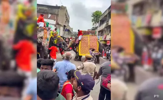 ಅಹಮದಾಬಾದ್‌ | ಜಗನ್ನಾಥ ರಥಯಾತ್ರೆಯ ಮೆರವಣಿಗೆಯಲ್ಲಿ ಕೆರಳಿದ ಆನೆಯಿಂದ ದಾಂಧಲೆ; ಒಬ್ಬ ವ್ಯಕ್ತಿಗೆ ಗಾಯ