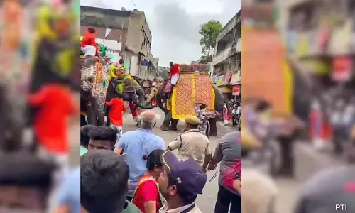 ಅಹಮದಾಬಾದ್‌ | ಜಗನ್ನಾಥ ರಥಯಾತ್ರೆಯ ಮೆರವಣಿಗೆಯಲ್ಲಿ ಕೆರಳಿದ ಆನೆಯಿಂದ ದಾಂಧಲೆ; ಒಬ್ಬ ವ್ಯಕ್ತಿಗೆ ಗಾಯ