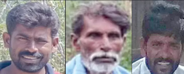 ಚಾಮರಾಜನಗರ : ಐದು ಹುಲಿಗಳ ಸಾವು ಪ್ರಕರಣ; ಮೂವರು ಆರೋಪಿಗಳ ಬಂಧನ